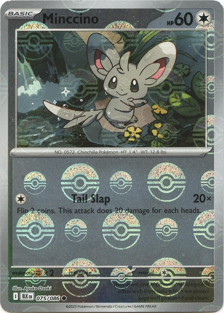 Minccino (Poke Ball Pattern) - 075/086 - Common