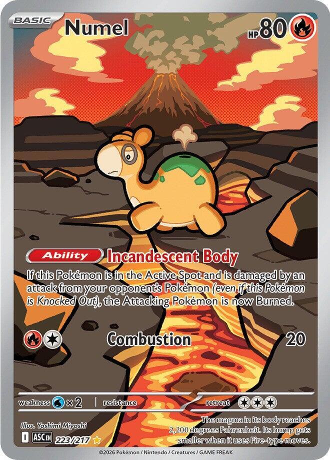 Numel - 223/217 - Illustration Rare