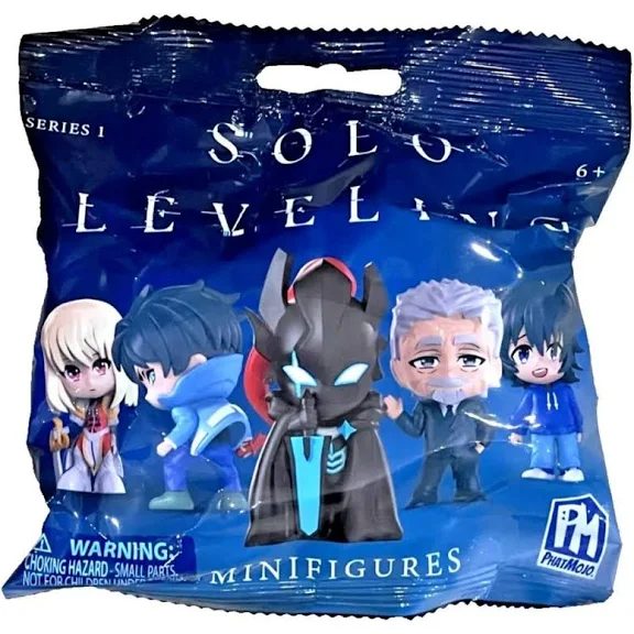 SOLO LEVELING HANGER IN BLIND BAG IN CDU