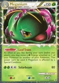 Meganium (Prime) - HGSS08 - HGSS08 - Promo
