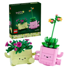11506 Rocking Plants